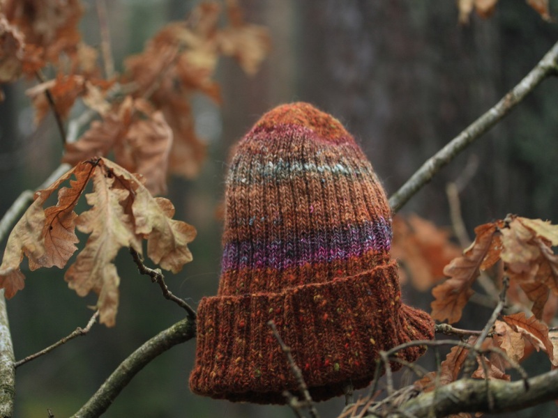 Vilnonė kepurė, žiemojančių ąžuolo lapų spalvos